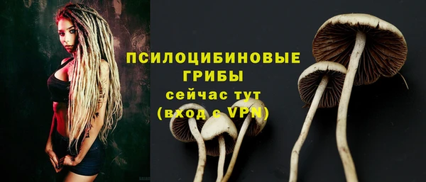 spice Балахна
